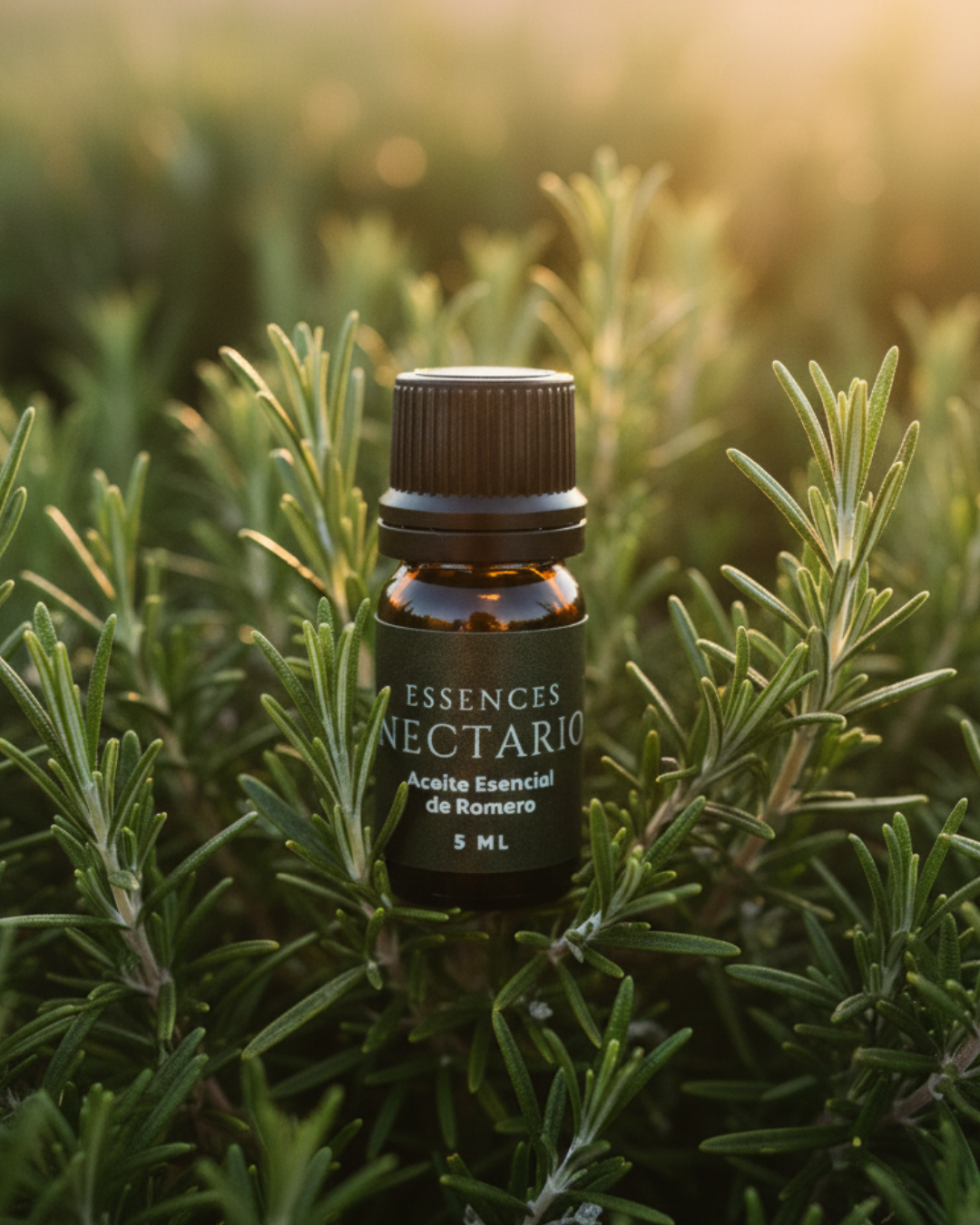 Aceite Esencial de Romero